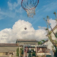 画像264