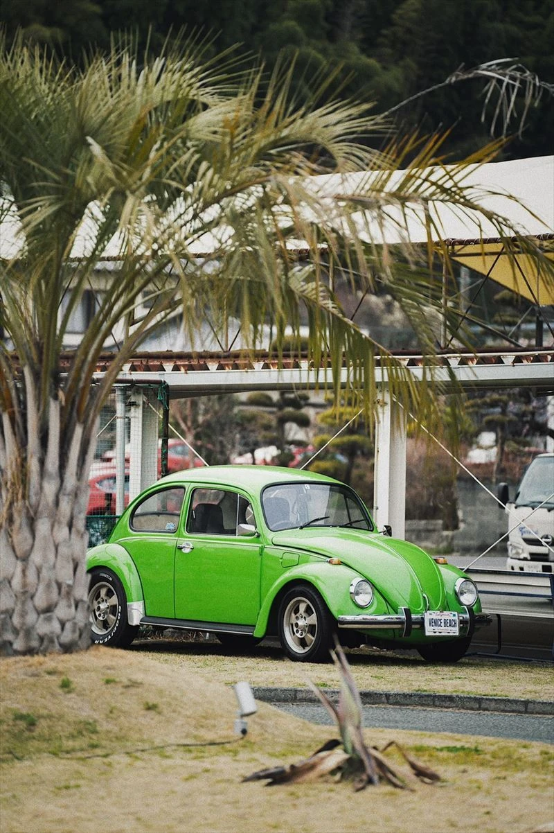 AdobeStock_267069464